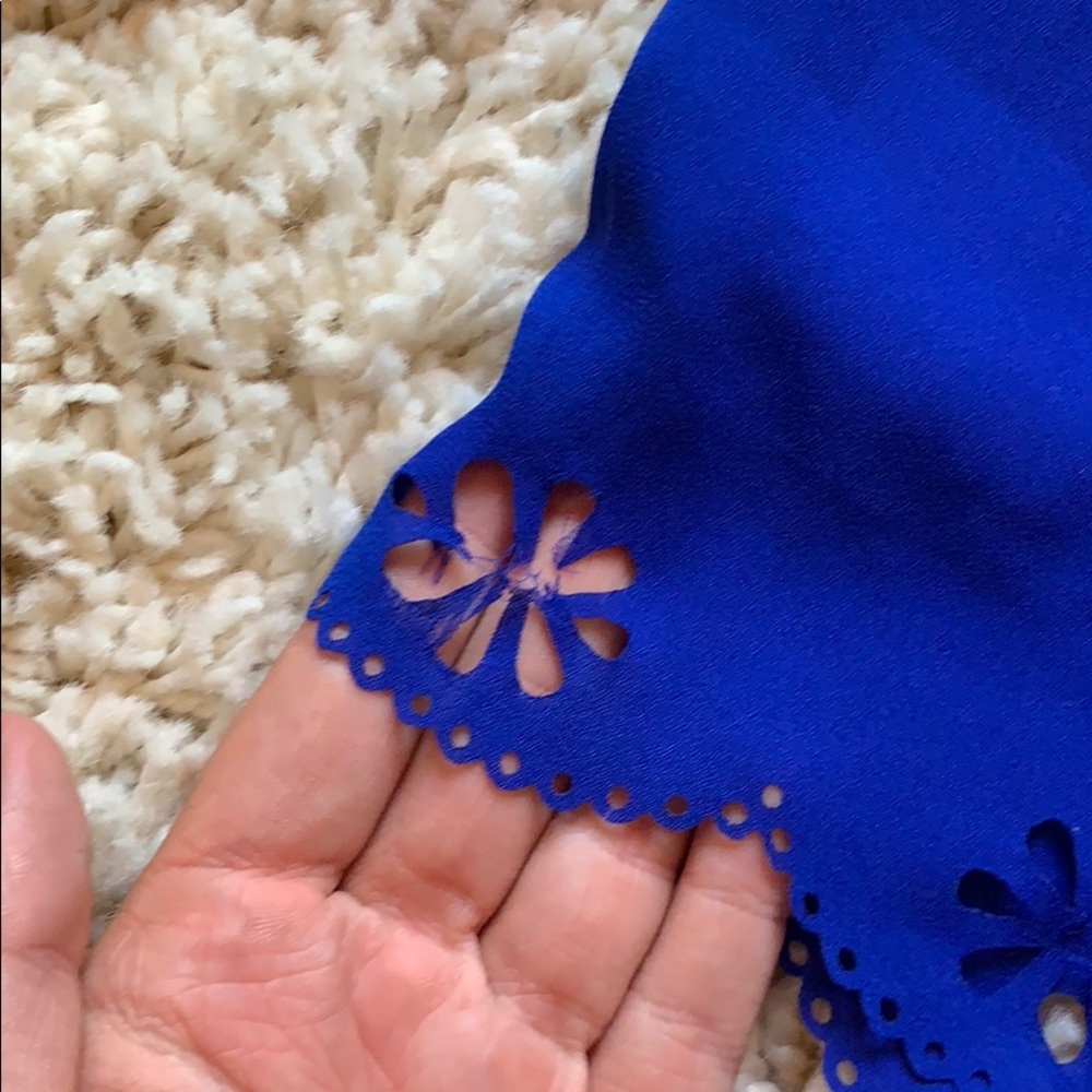 Blue Shorts - Picture 4 of 4